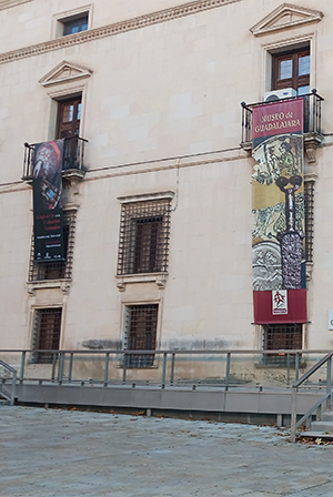 Guadalajara 03